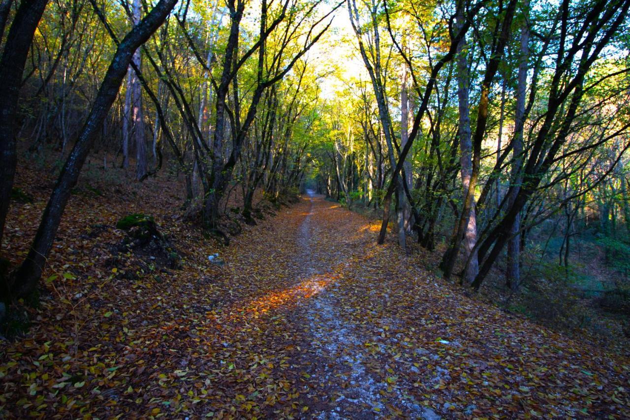 Aria Di Bosco Bed & Breakfast LʼAquila Dış mekan fotoğraf